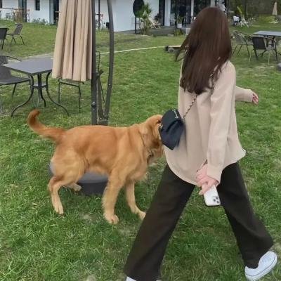 月落妇人心