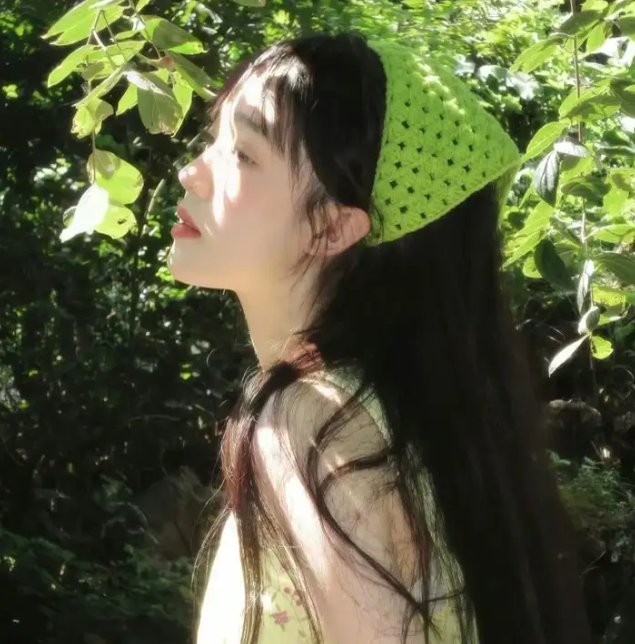 壳中少女:压缩